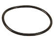 Fuel Pump Seal