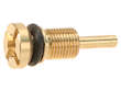Radiator Drain Plug