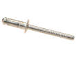 Window Regulator Rivet