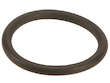 Radiator Hose O-Ring