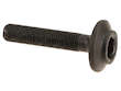 Axle Bolt