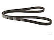 Multi Rib Belt