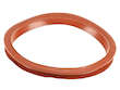 Fuel Pump Tank Seal