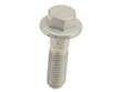 Brake Caliper Bolt