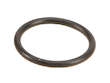 Position Sensor O-Ring