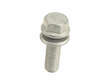 Brake Caliper Carrier Bolt
