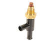 Auxiliary Air Valve