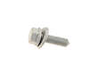 Shock Absorber Bolt