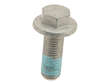 Brake Caliper Bolt