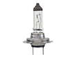 Headlight Bulb