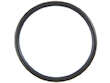 Water Pump O-Ring