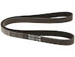 Multi Rib Belt