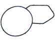 Thermostat Gasket