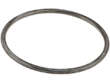Thermostat O-Ring