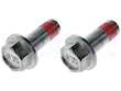 Brake Caliper Carrier Bolt
