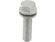 Brake Caliper Bolt