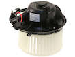 Blower Motor