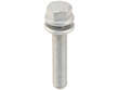 Brake Caliper Bolt