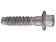 Intake Manifold Bolt