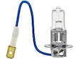 Fog Light Bulb