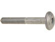 Control Arm Bolt