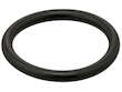 Radiator Hose O-Ring