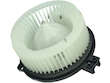 Blower Motor