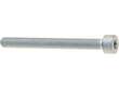 Fuel Pump Screw
