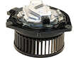 Blower Motor