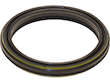 Engine Variable Valve Timing (VVT) Adjuster O-Ring