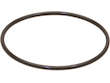 Water Pump Gasket