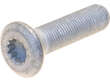 Steering Knuckle Screw