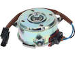 Radiator Fan Assembly