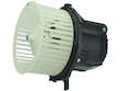 Blower Motor