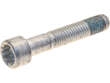 Driveshaft Bolt