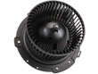 Blower Motor
