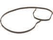 Water Pump Gasket