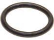 Oil Pan O-Ring