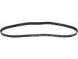 Multi Rib Belt