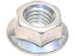 Intake Manifold Nut