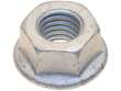 Engine Mount Nut