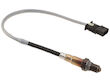 Downstream Oxygen Sensor - 2012-2018 BMW 320i - Original W0133-1926093
