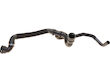 A6 Radiator Hose