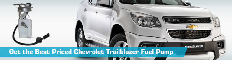Fuel Pump for Chevrolet Trailblazer - Partsgeek