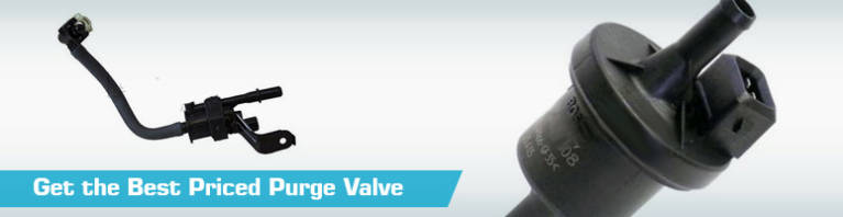 Replacement Purge valves