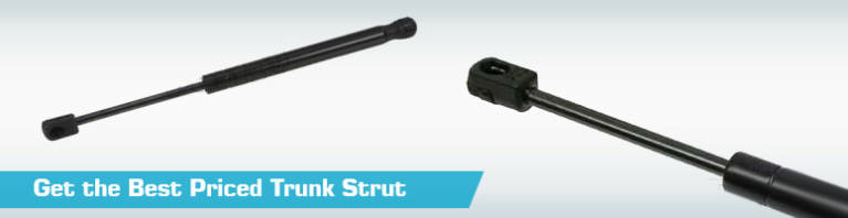 Replacement Trunk Struts